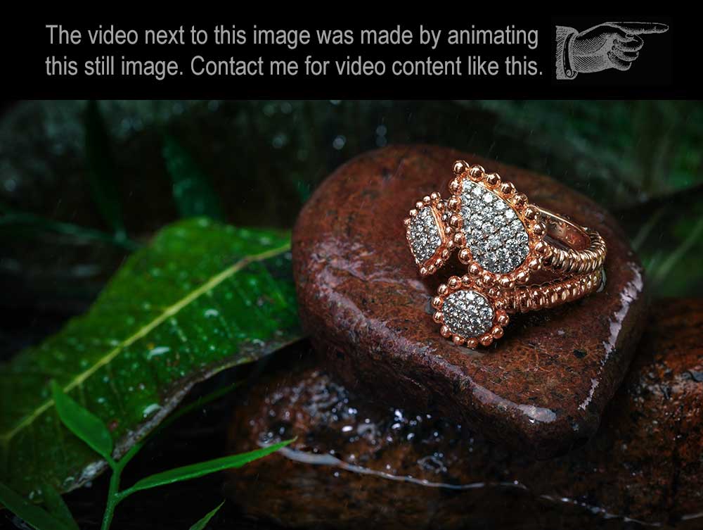 Animating Still Jewellery Photography image to video